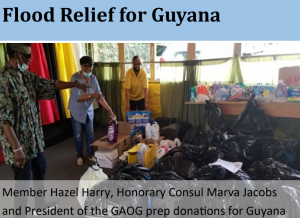 Read more about the article GAOG Newsletter Special Edition – July 2021 Vol. 7